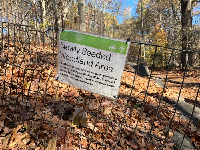 a sign noting a newly seeded woodland area